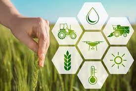 12 ایده تجاری سودآور برای کشاورزی